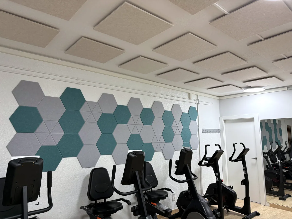 Sala de gimnasio con hexágonos acústicos en la pared y placas suspendidas en el techo